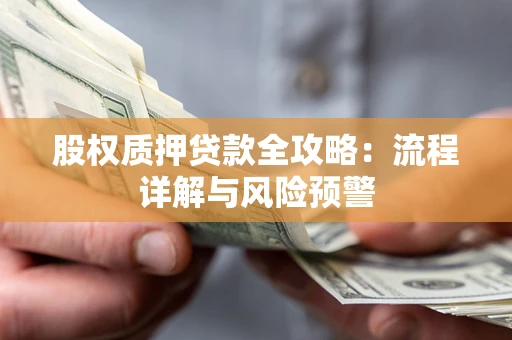 北京股权质押贷款全攻略：流程详解与风险预警