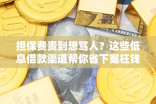 北京担保费贵到想骂人？这些低息借款渠道帮你省下冤枉钱